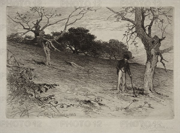 Landscape, 1883. George Henry Smillie (American, 1840-1921). Etching; sheet: 34.6 x 46.5 cm (13 5/8 x 18 5/16 in.)