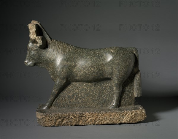Apis Bull, 400-100 BC. Egypt, Greco-Roman Period, Ptolemaic Dynasty or earlier. Serpentinite; overall: 52.5 cm (20 11/16 in.).