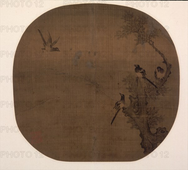 Returning Birds and Old Cypress, late 12th - early 13th Century. China, Southern Song dynasty (1127-1279). Album leaf, ink on silk; image: 23.8 x 24.9 cm (9 3/8 x 9 13/16 in.); overall: 33.3 x 40.5 cm (13 1/8 x 15 15/16 in.).