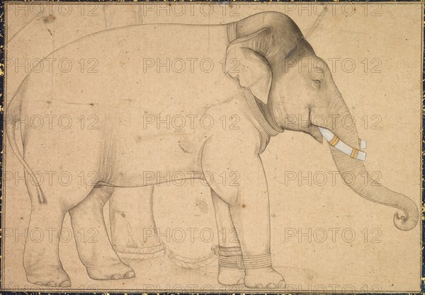 Drawing of an Elephant, c. 1700. India, Mughal School, early 18th Century. Ink on paper; image: 12.8 x 18.1 cm (5 1/16 x 7 1/8 in.); overall: 20 x 25.3 cm (7 7/8 x 9 15/16 in.).