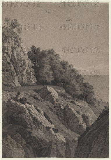 Rocky Cliff on a Coast, c. 1850-1860. Anonymous. Black chalk (stumped); sheet: 45.4 x 31.2 cm (17 7/8 x 12 5/16 in.).