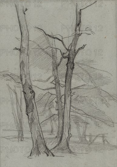 Landscape Study with Trees, c. 1870-1875. Thomas Couture (French, 1815-1879). Black chalk with white gouache; sheet: 45.8 x 32 cm (18 1/16 x 12 5/8 in.).