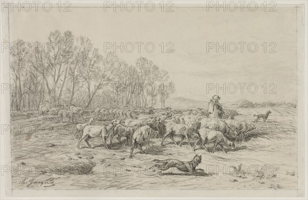 Landscape with a Flock of Sheep, 1800s. Charles-Émile Jacque (French, 1813-1894). Black chalk with stumping; sheet: 26.8 x 41.5 cm (10 9/16 x 16 5/16 in.).