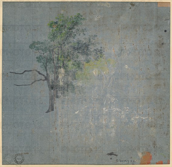 Tree Studies, first half 1800s. Johann Jacob Dorner (German, 1775-1852). Gouache; squared in graphite; sheet: 31.6 x 33 cm (12 7/16 x 13 in.); secondary support: 40.1 x 41 cm (15 13/16 x 16 1/8 in.).
