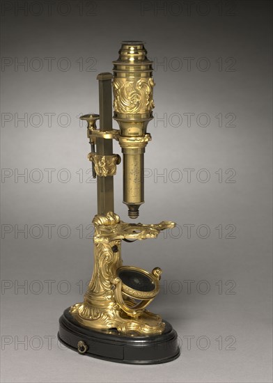 Microscope, c. 1745- 1765. France, mid-18th century. Gilt bronze mounts; overall: 28.6 x 15.4 x 11.5 cm (11 1/4 x 6 1/16 x 4 1/2 in.).