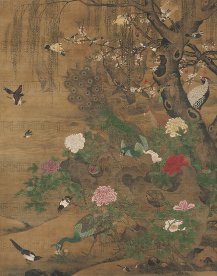 Birds Gather under the Spring Willow, late 1400s-early 1500. Yin Hong (Chinese, c. 1430-c. 1500). Hanging scroll, ink and color on silk; overall: 240 x 195.5 cm (94 1/2 x 76 15/16 in.).