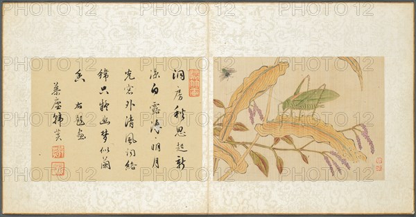 Album of Miscellaneous Subjects, Leaf 7, 1600s. Fan Qi (Chinese, 1616-aft 1694). Album leaf, ink and color on silk; image: 12.6 x 17.3 cm (4 15/16 x 6 13/16 in.); overall: 21 x 22 cm (8 1/4 x 8 11/16 in.).