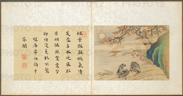 Album of Miscellaneous Subjects, Leaf 8, 1600s. Fan Qi (Chinese, 1616-aft 1694). Album leaf, ink and color on silk; image: 12.6 x 17.3 cm (4 15/16 x 6 13/16 in.); overall: 21 x 22 cm (8 1/4 x 8 11/16 in.).