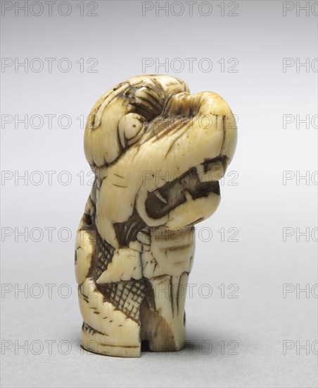 Dragon's Head, 1100-1150. Anglo-Norman?, Romanesque period, 12th century. Walrus ivory; overall: 6.4 cm (2 1/2 in.)
