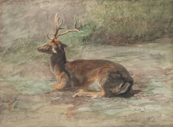 Recumbent Stag, second half 19th century. Rosa Bonheur (French, 1822-1899). Watercolor and gouache over graphite; sheet: 28 x 38.1 cm (11 x 15 in.).
