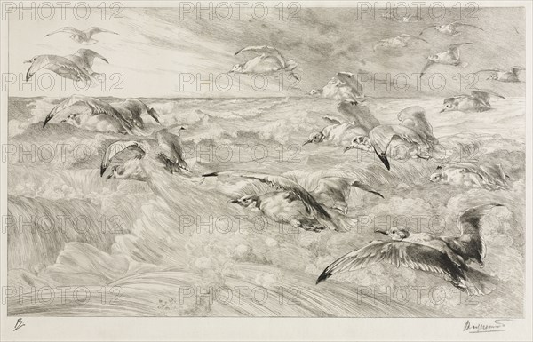 The Seagulls, c. 1880. Félix Bracquemond (French, 1833-1914). Etching; sheet: 32.3 x 48.6 cm (12 11/16 x 19 1/8 in.); platemark: 29.7 x 45.6 cm (11 11/16 x 17 15/16 in.)