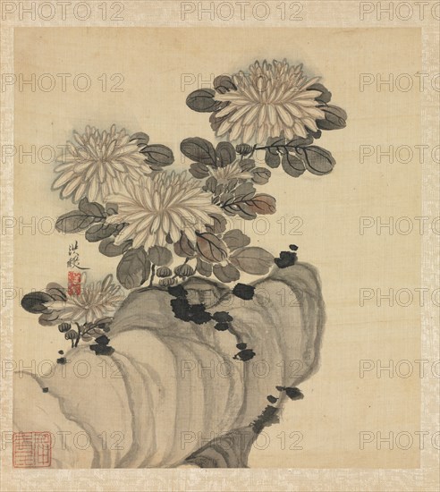 Paintings after Ancient Masters: Chrysanthemum and Rock, 1598-1652. Chen Hongshou (Chinese, 1598/99-1652). Album leaf, ink and color on silk; overall: 30.2 x 26.7 cm (11 7/8 x 10 1/2 in.).