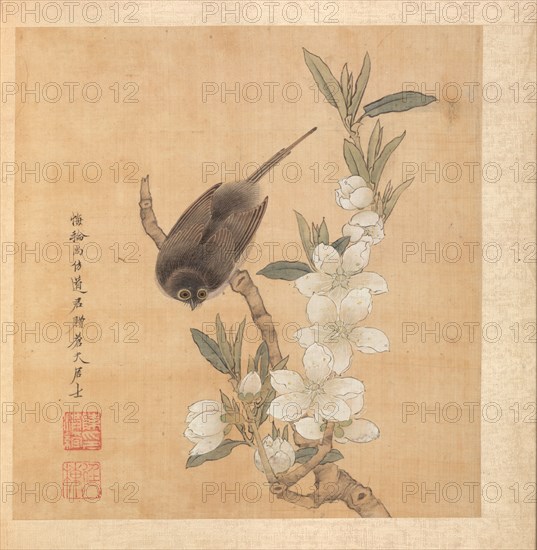 Paintings after Ancient Masters: A Bird and Peach-Blossom Branch, 1598-1652. Chen Hongshou (Chinese, 1598/99-1652). Album leaf, ink and color on silk; overall: 30.2 x 26.7 cm (11 7/8 x 10 1/2 in.).