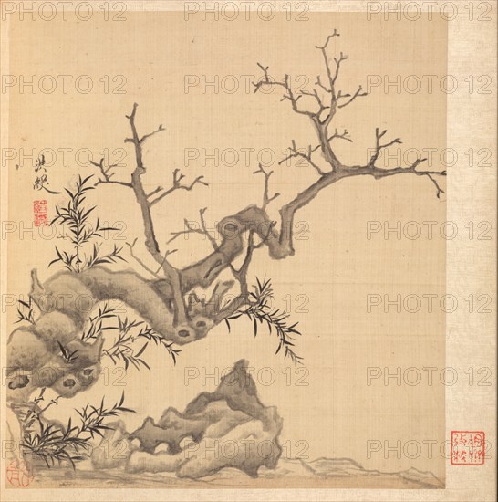 Paintings after Ancient Masters: Rock, Old Tree, and Bamboo, 1598-1652. Chen Hongshou (Chinese, 1598/99-1652). Album leaf, ink and color on silk; overall: 30.2 x 26.7 cm (11 7/8 x 10 1/2 in.).
