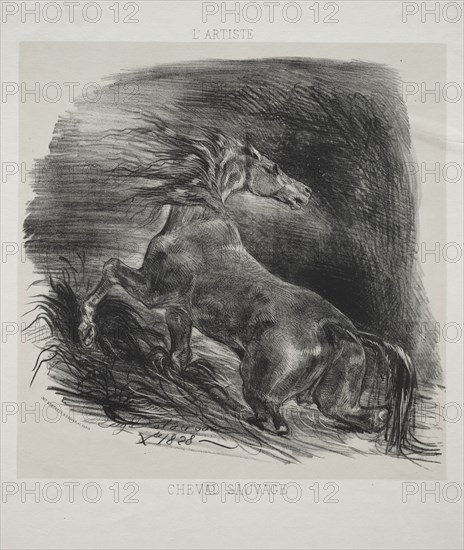 The Wild Horse, or Frightened Horse Leaving the Water, 1828. Eugène Delacroix (French, 1798-1863), L'Artiste. Lithograph with beige tint stone; sheet: 36.1 x 27.4 cm (14 3/16 x 10 13/16 in.); image: 23 x 23.9 cm (9 1/16 x 9 7/16 in.)