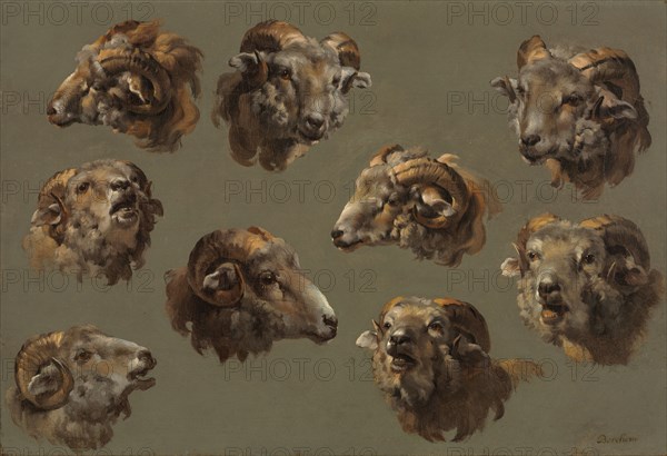 Studies of Ram Heads, 1700s. France, 18th century. Oil on canvas; framed: 44.8 x 58.1 x 7.6 cm (17 5/8 x 22 7/8 x 3 in.); unframed: 29.8 x 43.5 cm (11 3/4 x 17 1/8 in.).