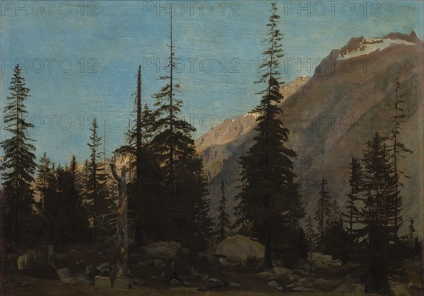 Alpine Landscape:  The Handegg, Switzerland, 1850s. Jean-Léon Gérôme (French, 1824-1904). Oil on fabric; framed: 36 x 47 x 5.5 cm (14 3/16 x 18 1/2 x 2 3/16 in.); unframed: 26.8 x 37 cm (10 9/16 x 14 9/16 in.)