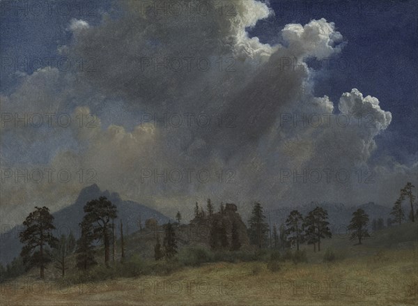Fir Trees and Storm Clouds, c. 1870. Albert Bierstadt (American, 1830-1902). Oil on paper mounted on canvas; unframed: 35 x 47 cm (13 3/4 x 18 1/2 in.).
