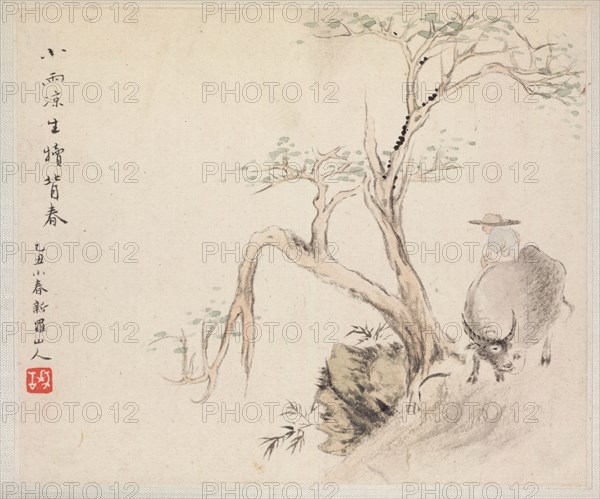Album of Landscape Paintings Illustrating Old Poems: A Man Sits on a Water Buffalo, 1700s. Hua Yan (Chinese, 1682-about 1765). Album leaf, ink and light color on paper; image: 11.2 x 13.1 cm (4 7/16 x 5 3/16 in.); album, closed: 15 x 18.5 cm (5 7/8 x 7 5/16 in.).