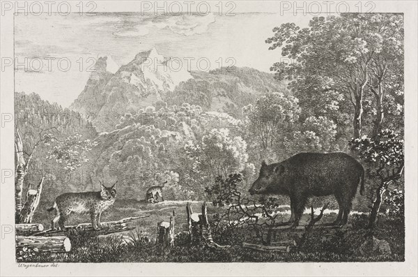 Wild Boar, Wildcat and Lynx, 1807. Maximilian Josef Wagenbauer (German, 1774-1829). Lithograph