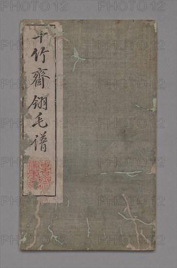Ten Bamboo Studio Painting and Calligraphy Handbook (Shizhuzhai shuhua pu):  Birds, late 17-18th Century. Hu Zhengyan (Chinese). Color woodblock; open and extended: 23.7 x 27.9 cm (9 5/16 x 11 in.).