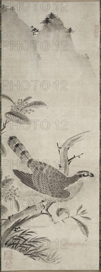 Hawk, mid 1500s. Masayoshi Fujiwara (Japanese). Hanging scroll; ink on paper; painting only: 119.6 x 44.1 cm (47 1/16 x 17 3/8 in.); including mounting: 209.4 x 64.1 cm (82 7/16 x 25 1/4 in.).