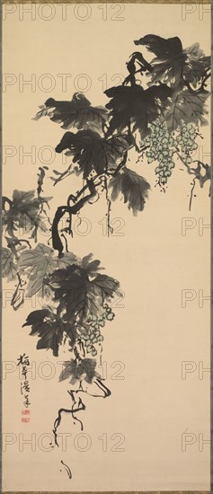 Grapes, 1800s. Baikan Sugai (Japanese, 1784-1844). Hanging scroll; ink and light color on paper; painting only: 129 x 53.3 cm (50 13/16 x 21 in.); including mounting: 190.5 x 64.8 cm (75 x 25 1/2 in.).