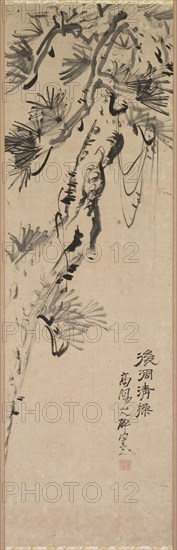 Aged Pine, 1717-1780. Nakayama Koyo (Japanese, 1717-1780). Hanging scroll; ink on paper; image: 89.8 x 28 cm (35 3/8 x 11 in.); overall: 162.5 x 40.7 cm (64 x 16 in.).