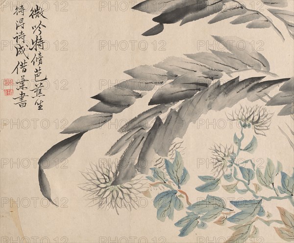 Chrysanthemums and Leaves of a Mulberry Tree. Tsubaki Chinzan (Japanese, 1801-1854). Ink and color on paper; sheet: 28 x 34.3 cm (11 x 13 1/2 in.).