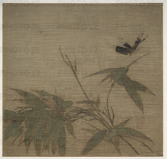 Insects and Bamboo, 13th Century. China, Southern Song dynasty (1127-1279). Album leaf, ink and light color on silk; image: 23.8 x 25.6 cm (9 3/8 x 10 1/16 in.).