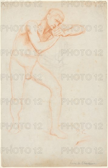 Male Nude, 1891. Pierre Puvis de Chavannes (French, 1824-1898). Red chalk and traces of black chalk; sheet: 35.9 x 23.2 cm (14 1/8 x 9 1/8 in.).