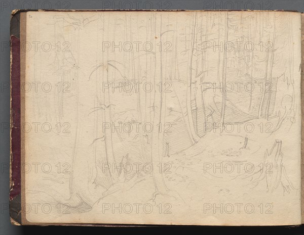 Album with Views of Rome and Surroundings, Landscape Studies, page 01b: Roman Landscape. Franz Johann Heinrich Nadorp (German, 1794-1876). Graphite;