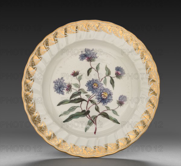 Plate from Dessert Service: Tall Blue Aster, c. 1800. Derby (Crown Derby Period) (British). Porcelain; diameter: 23.6 cm (9 5/16 in.); overall: 3.1 cm (1 1/4 in.).