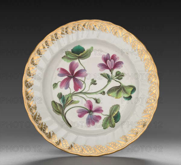 Plate from Dessert Service: Althaea Marsh Mallow, c. 1800. Derby (Crown Derby Period) (British). Porcelain; diameter: 23.7 cm (9 5/16 in.); overall: 3.4 cm (1 5/16 in.).