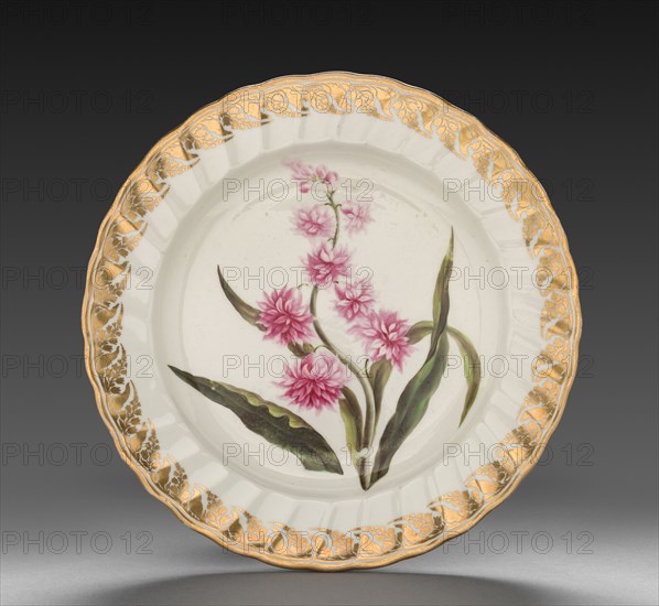 Plate from Dessert Service: Eastern Hyacinth, c. 1800. Derby (Crown Derby Period) (British). Porcelain; diameter: 23.6 cm (9 5/16 in.); overall: 3.2 cm (1 1/4 in.).