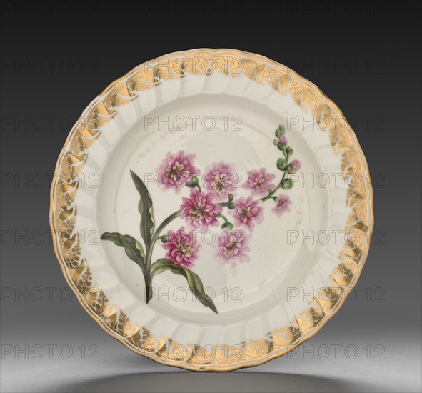 Plate from Dessert Service: Double Stock, c. 1800. Derby (Crown Derby Period) (British). Porcelain; diameter: 23.4 cm (9 3/16 in.); overall: 3.2 cm (1 1/4 in.).