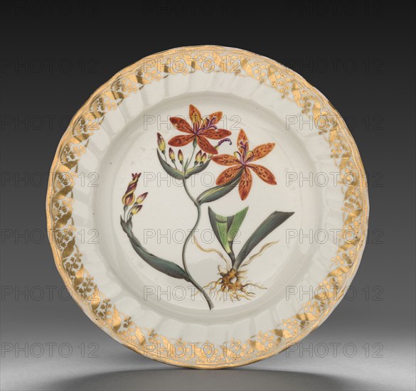 Plate from Dessert Service: Chinese Ixia, c. 1800. Derby (Crown Derby Period) (British). Porcelain; diameter: 23.7 cm (9 5/16 in.); overall: 3.2 cm (1 1/4 in.).
