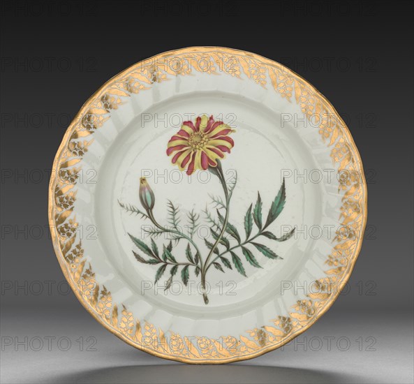 Plate from Dessert Service: French Marigold, c. 1800. Derby (Crown Derby Period) (British). Porcelain; diameter: 23.4 cm (9 3/16 in.); overall: 3.4 cm (1 5/16 in.).