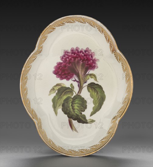 Quatrelobed Dish from Dessert Service: Coxcomb, c. 1800. Derby (Crown Derby Period) (British). Porcelain; overall: 4 x 15.5 x 20.4 cm (1 9/16 x 6 1/8 x 8 1/16 in.).