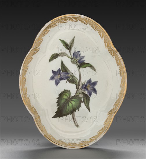 Quatrelobed Dish from Dessert Service: Nettle-leaved Bell Flower, c. 1800. Derby (Crown Derby Period) (British). Porcelain; overall: 3.9 x 25.6 x 20.4 cm (1 9/16 x 10 1/16 x 8 1/16 in.).