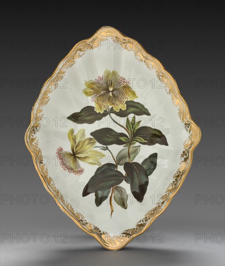 Lozenge Shaped Dish from Dessert Service: Large Flowered St. John's Wort, c. 1800. Derby (Crown Derby Period) (British). Porcelain; overall: 5.6 x 30.5 x 23.7 cm (2 3/16 x 12 x 9 5/16 in.).