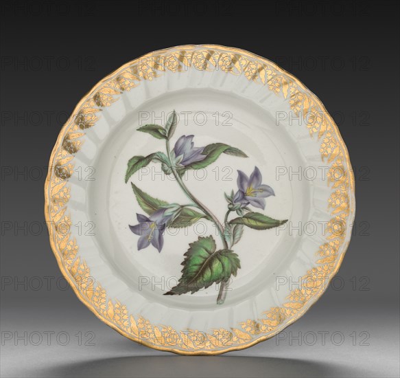 Plate from Dessert Service: Nettle Leaved Bell Flower, c. 1800. Derby (Crown Derby Period) (British). Porcelain; diameter: 23.4 cm (9 3/16 in.); overall: 3.1 cm (1 1/4 in.).