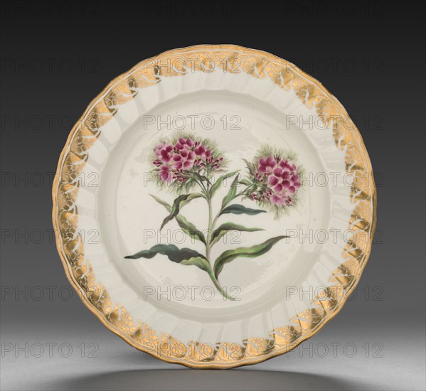 Plate from Dessert Service: Sweet William, c. 1800. Derby (Crown Derby Period) (British). Porcelain; diameter: 23.7 cm (9 5/16 in.); overall: 3.2 cm (1 1/4 in.).