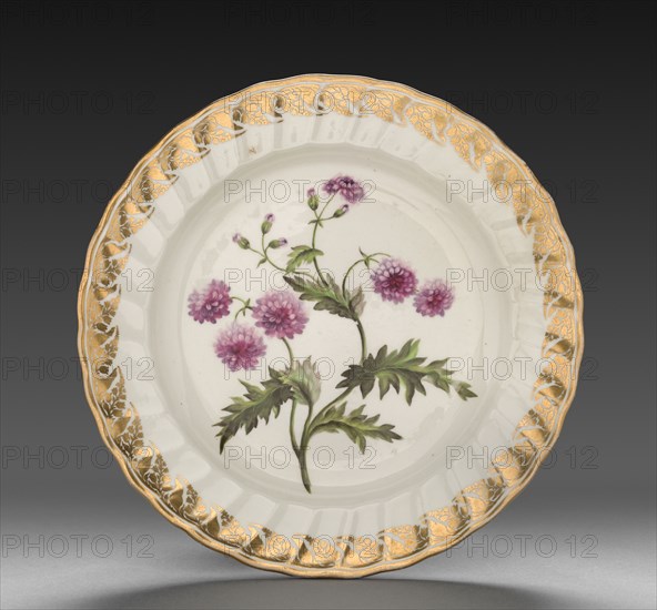 Plate from Dessert Service: Double Groundsell or Ragwort, c. 1800. Derby (Crown Derby Period) (British). Porcelain; diameter: 23.5 cm (9 1/4 in.); overall: 3.2 cm (1 1/4 in.).