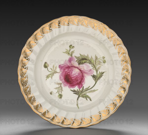 Plate from Dessert Service: Anemone, c. 1800. Derby (Crown Derby Period) (British). Porcelain; diameter: 24 cm (9 7/16 in.); overall: 3.2 cm (1 1/4 in.).