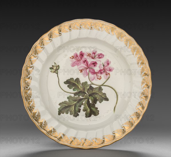 Plate from Dessert Service: Geranium Terabinthinum, c. 1800. Derby (Crown Derby Period) (British). Porcelain; diameter: 23.7 cm (9 5/16 in.); overall: 3.2 cm (1 1/4 in.).