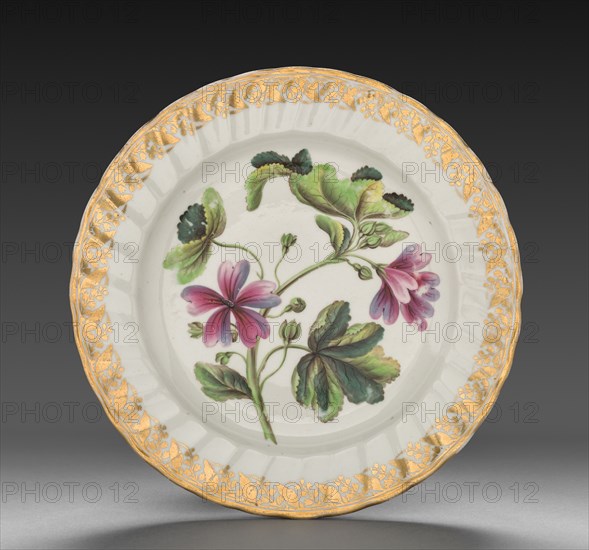 Plate from Dessert Service: Marsh Mallow, c. 1800. Derby (Crown Derby Period) (British). Porcelain; diameter: 23.4 cm (9 3/16 in.); overall: 3.1 cm (1 1/4 in.).