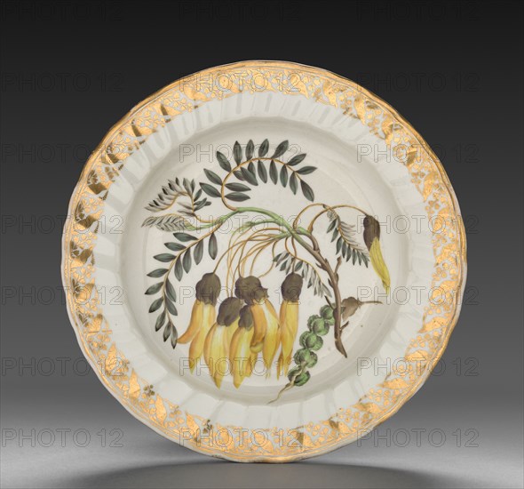 Plate from Dessert Service: Winged Podded Sophora, c. 1800. Derby (Crown Derby Period) (British). Porcelain; diameter: 23.5 cm (9 1/4 in.); overall: 3.1 cm (1 1/4 in.).
