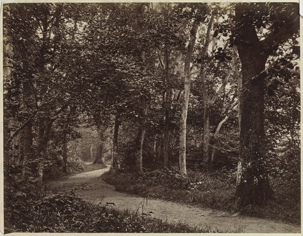 Untitled (Landscape), early 1860s. Unidentified Photographer. Albumen print from wet collodion negative; image: 18.7 x 24.2 cm (7 3/8 x 9 1/2 in.); matted: 35.6 x 45.7 cm (14 x 18 in.)