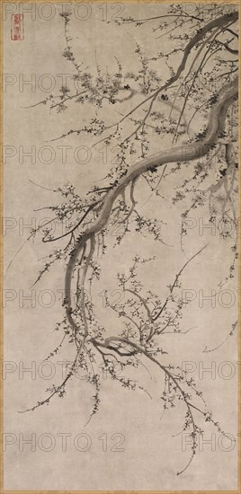 Prunus, 17th century. Attributed to Kano Eino (Japanese, 1631-1697). Hanging scroll; ink on paper; painting only: 125 x 60.5 cm (49 3/16 x 23 13/16 in.); including mounting: 224.6 x 81.9 cm (88 7/16 x 32 1/4 in.).